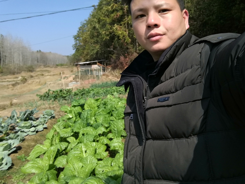 倔强的驴的第一张照片--昆山认干亲服务网